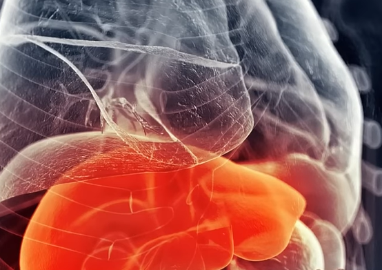 지방간 없애는 방법