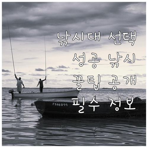 성공적인 낚시를 위한 낚시대 선택 노