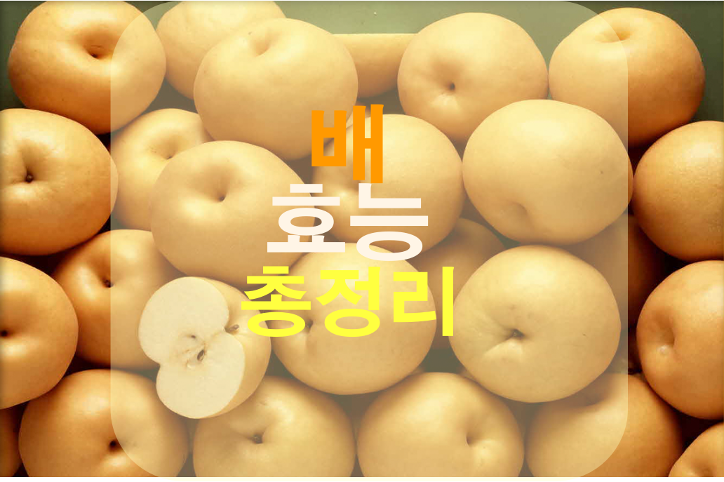 배-한상자