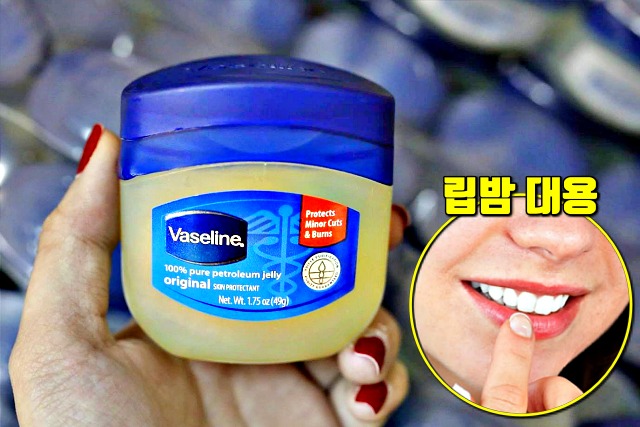립밤 대신 바세린 효능