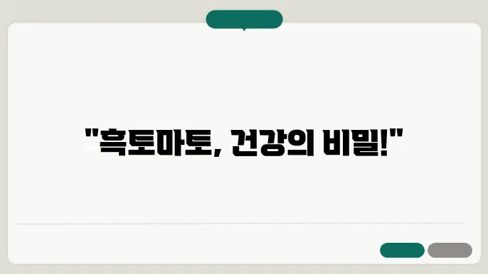 흑토마토 향상
