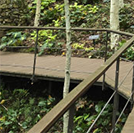 화담숲 단풍 절정시기