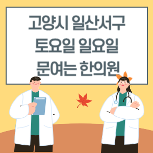 고양시 일산서구 토요일 일요일 한의원 진료 문여는 병원 리스트