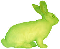 GFP Bunny-에두아르도 카츠