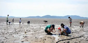 강화도 여행코스 여름 가족 여행지로 딱 좋은 곳 추천_21