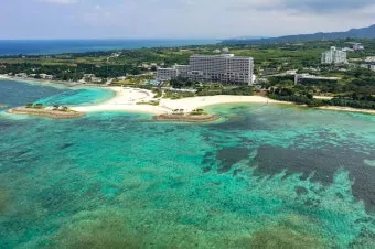 오키나와 국제거리 돈키호테에서 구매 가능한 술 종류 소개_18