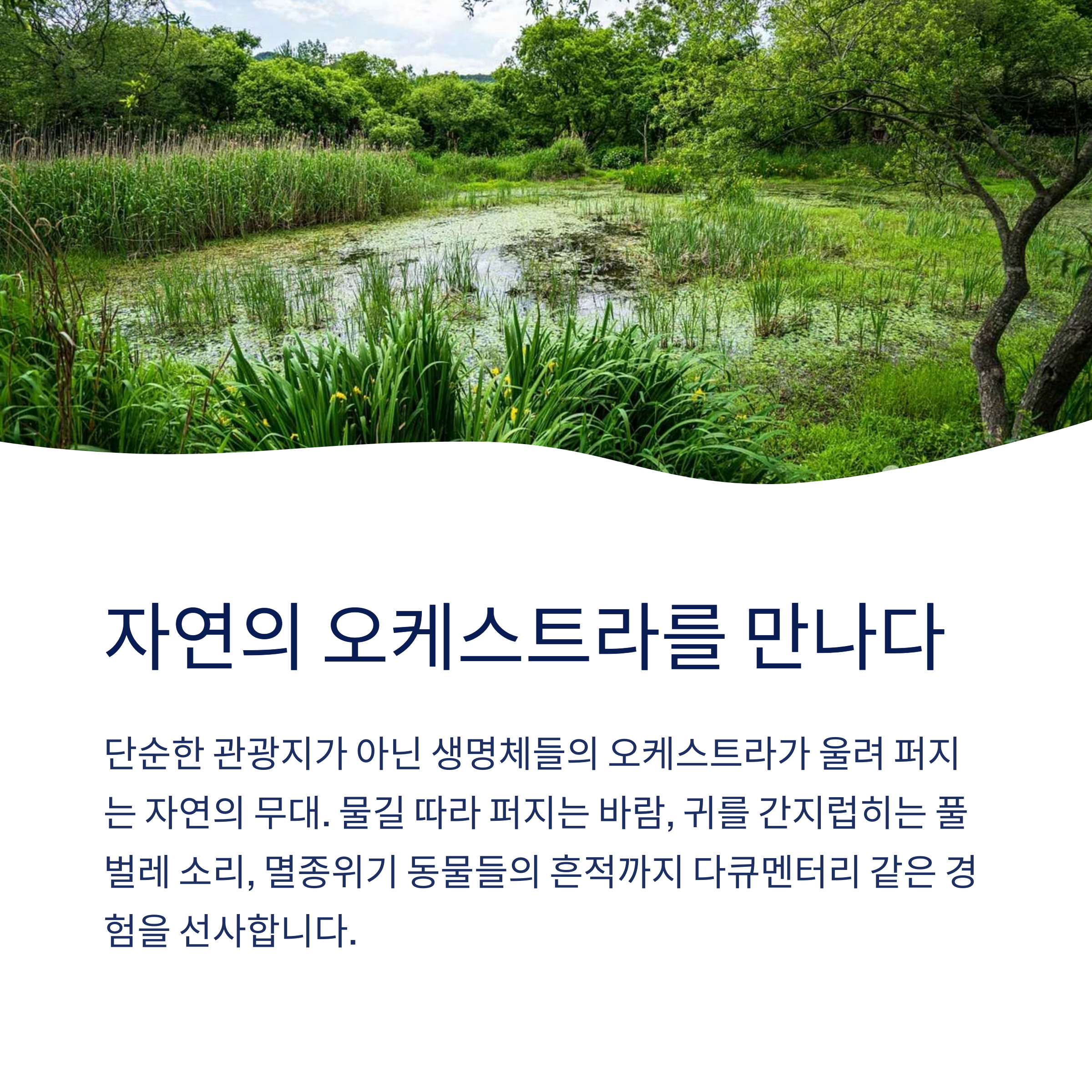 자연의 오케스트라를 만나다