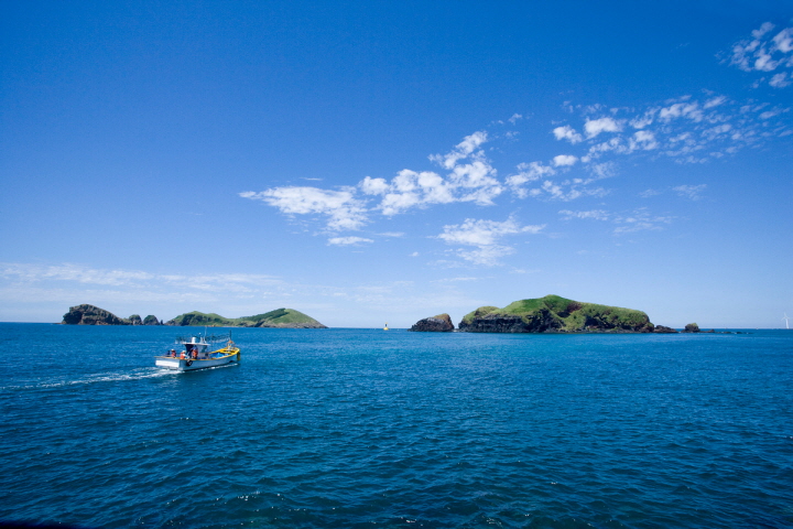 여행자보험 인터넷가입