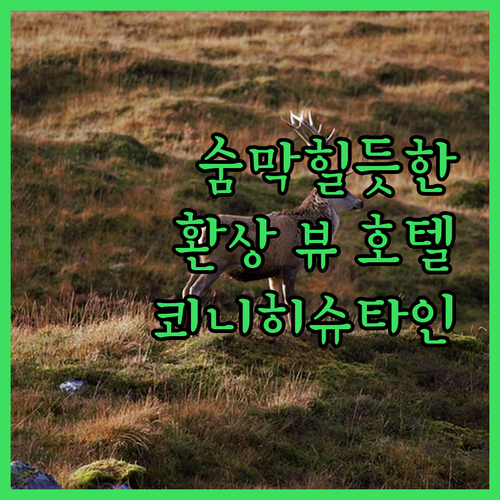 쾨니히슈타인 호텔 추천 숨막히는 뷰와..