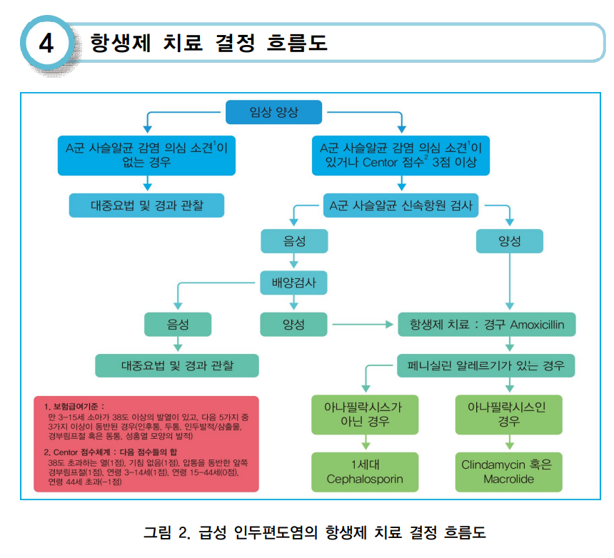 항생제-치료-결정-흐름도