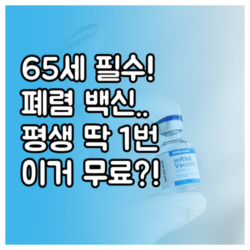 폐렴구균 예방접종 65세 이상 평생 ..
