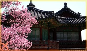 창덕궁 후원 예약 홈페이지 기간_16