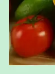 아침 공복 올리브유