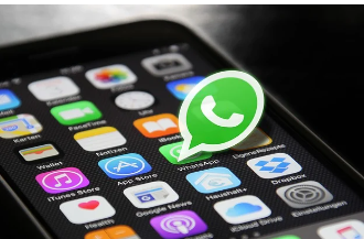 스마트폰과 잠시 이별한 아이들, ‘디지털 디톡스 캠프’의 모든 것