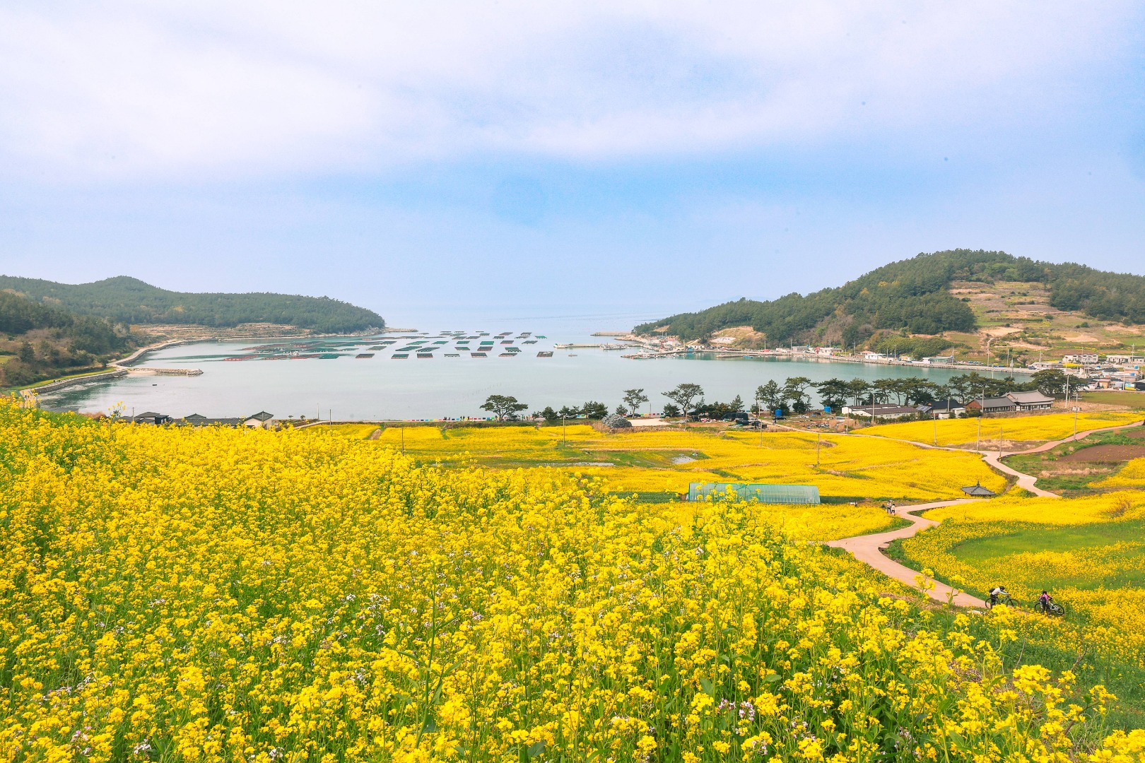 완도 청산도 배편