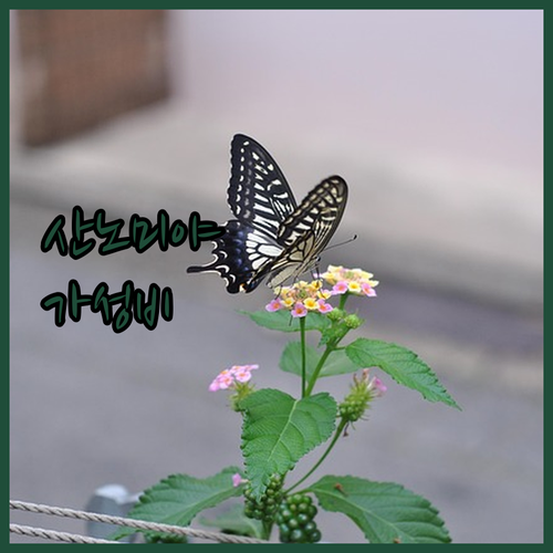 성공적인 고베 여행을 위한 산노미야 ..