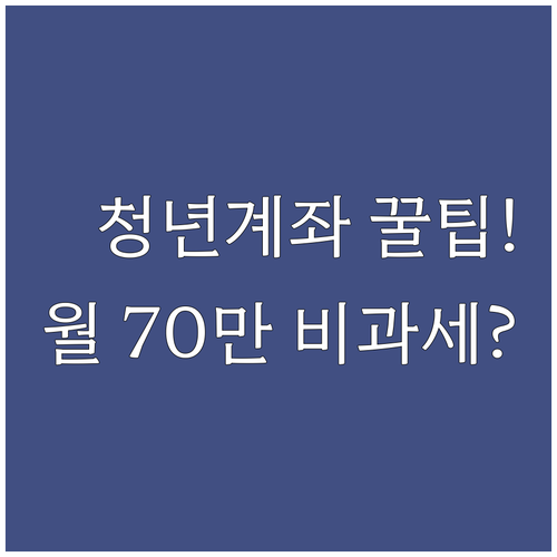 2025 청년도약계좌 월 70만원 비..