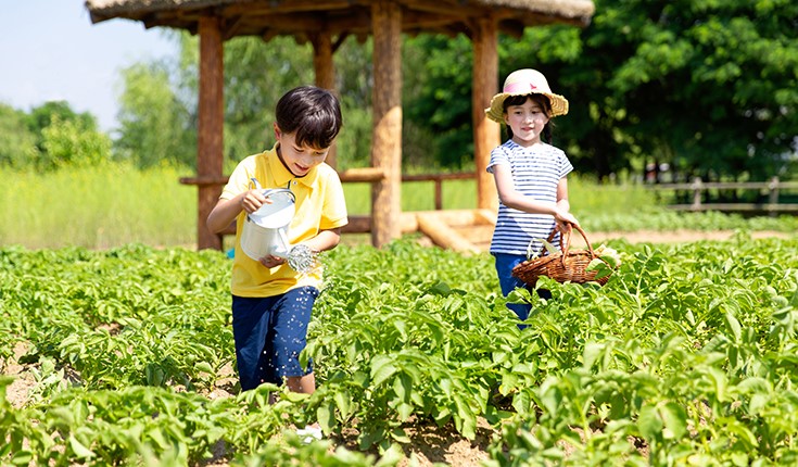 동행서울 친환경 농장 선착순 모집