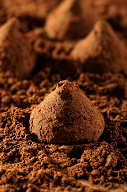 아르헨티나의 '카페라': 사람들에게 초콜릿을 나누어주는 특별한 이벤트