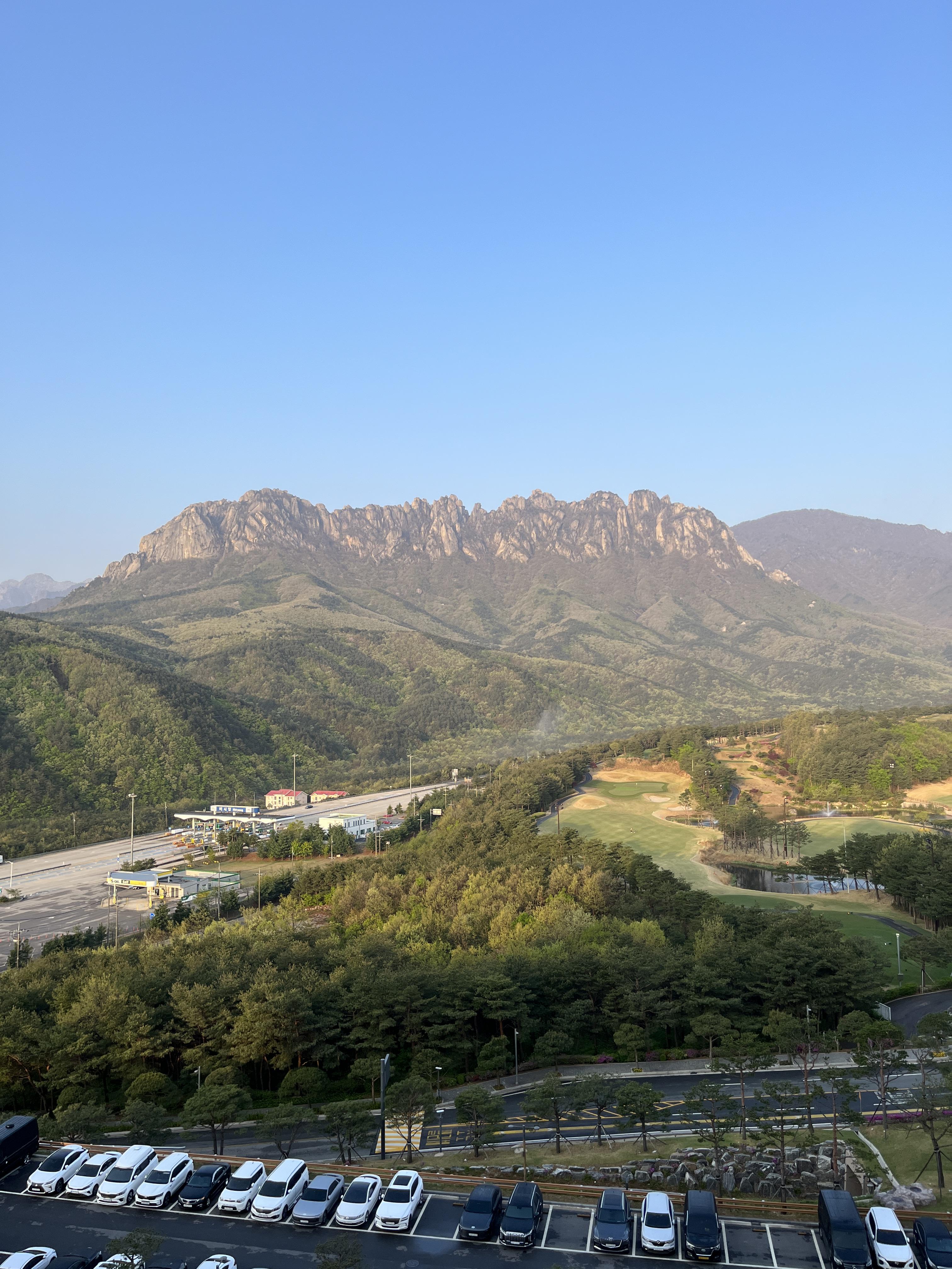 셰프스키친