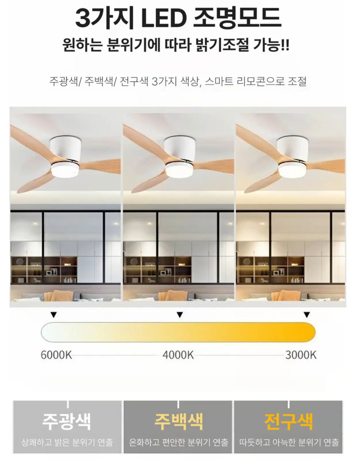 사진14