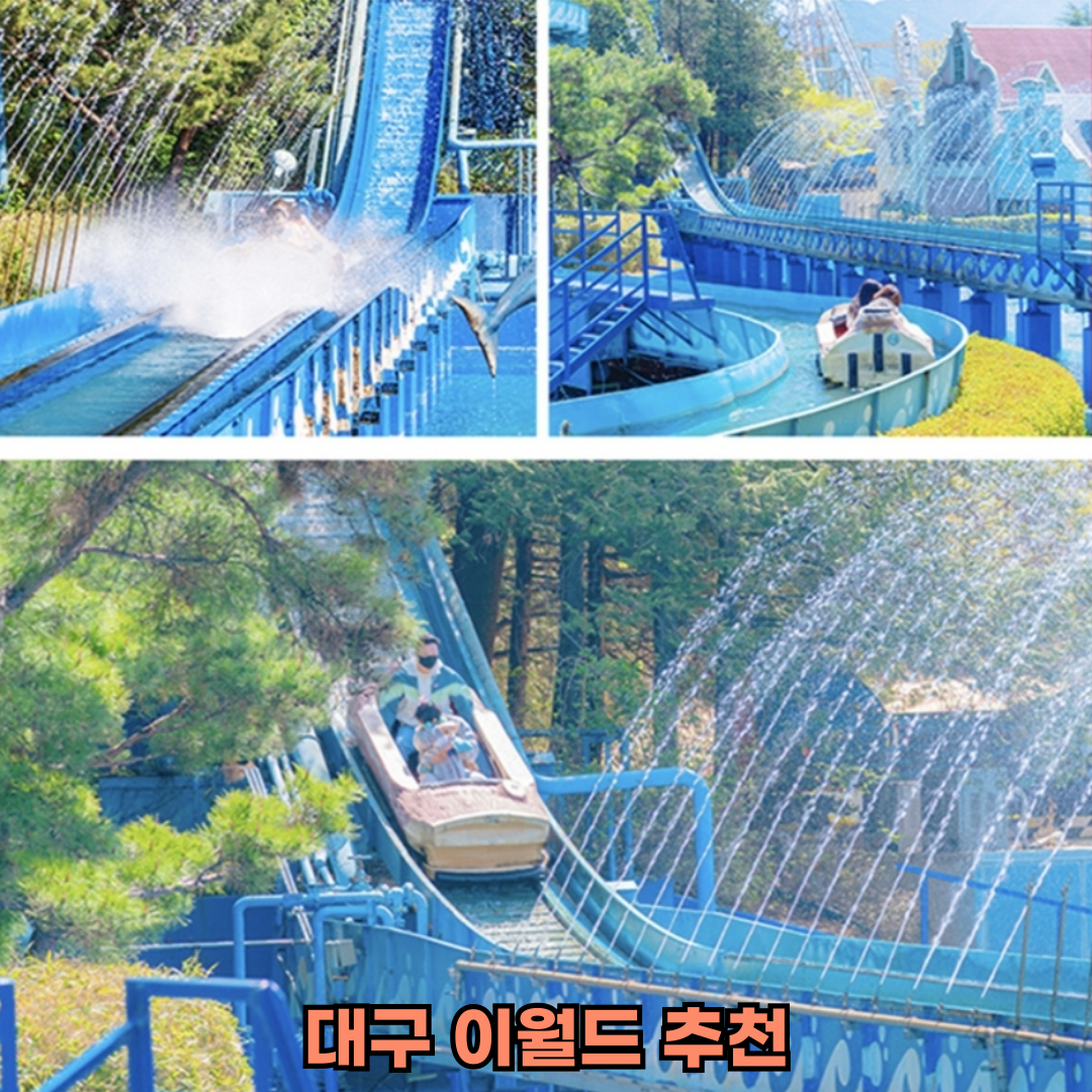 대구 이월드 추천