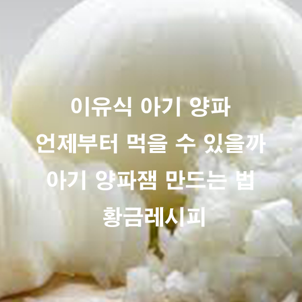 이유식 아기 양파 언제부터 먹을 수 있을까 아기 양파잼 만드는 법 황금레시피