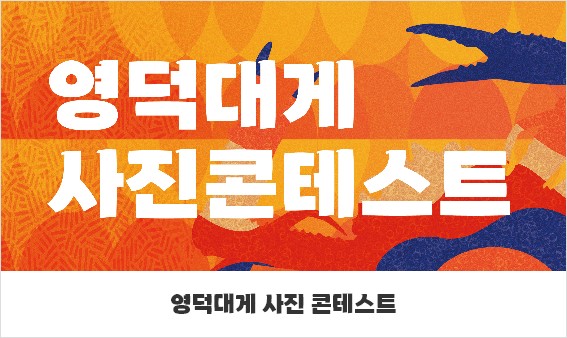 제27회 영덕대게축제(삼사해상공원)