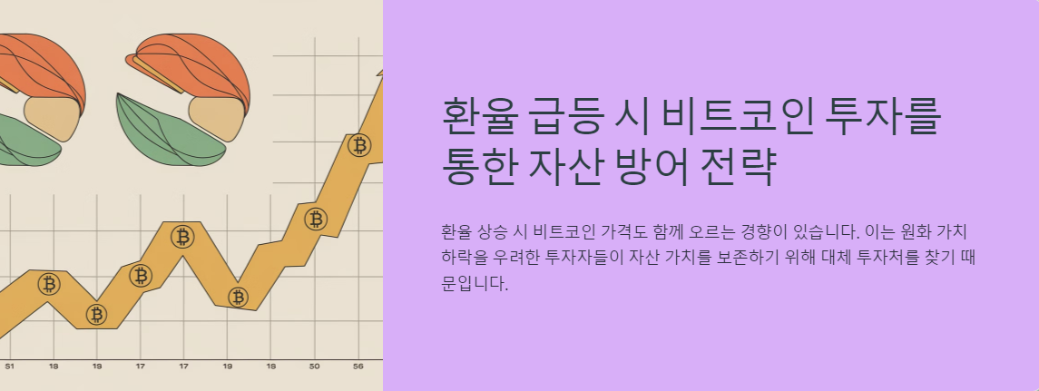 환율 급등 시 비트코인 투자를 통한 자산 방어 전략