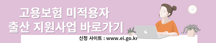 고용보험 미적용자 출산급여 (5)