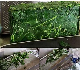 자동화시스템