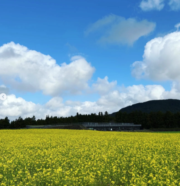 보롬왓 / 사진출처=한국관광공사