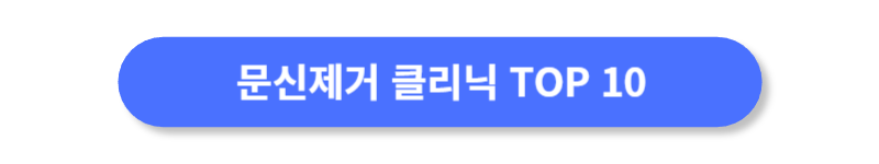 버튼
