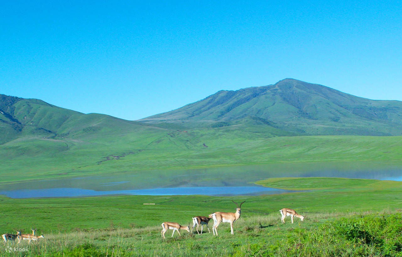 일본 구마모토 여행지 추천