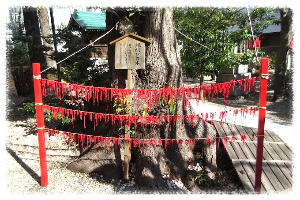 나고야 미와 신사