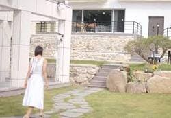 돌싱글즈6 다시보기 재방송 ott