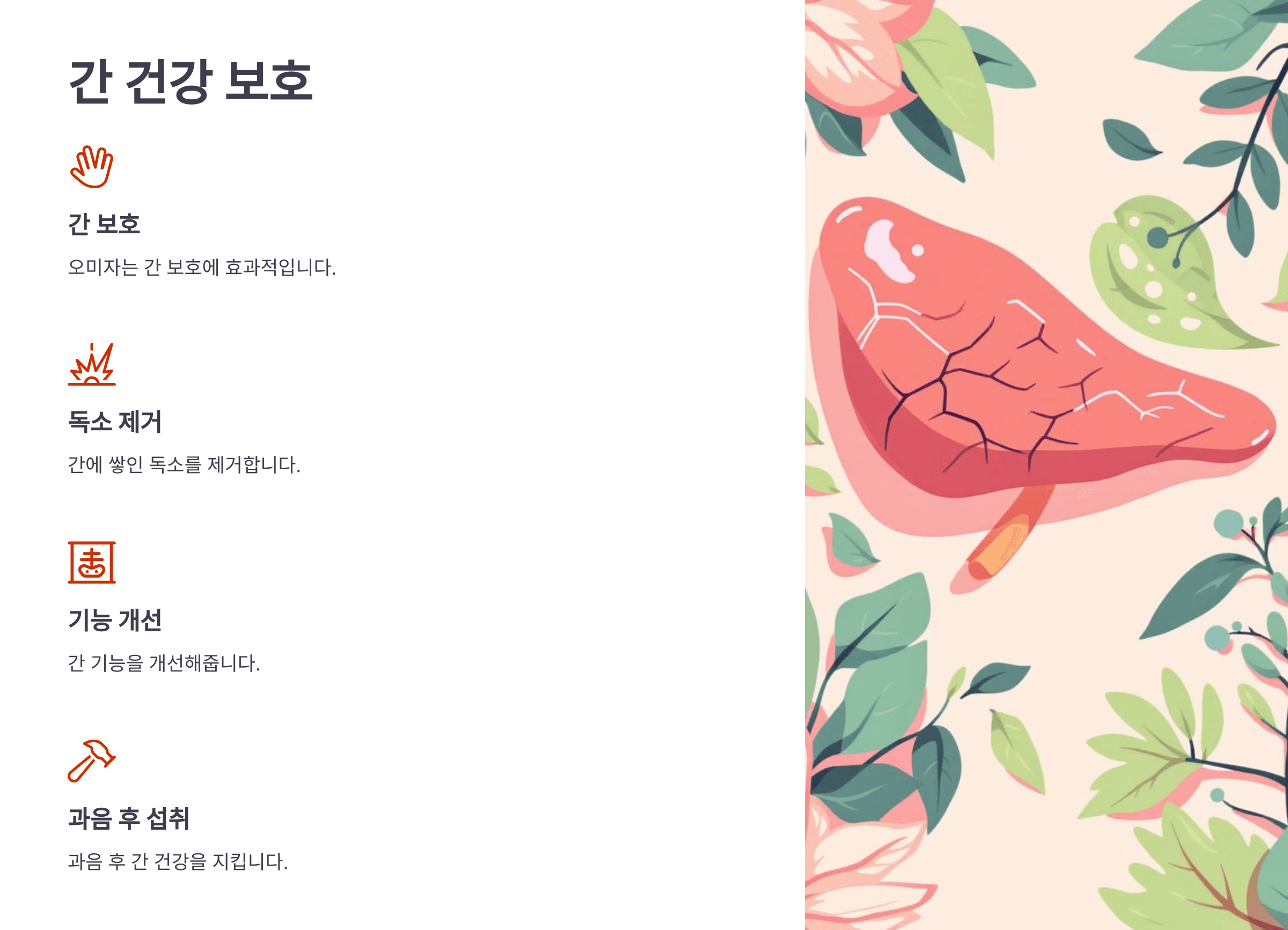 오미자 효능과 관련된 사진입니다.