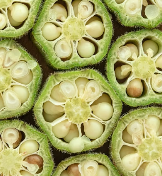 콜레스테롤 낮추는 방법 음식 과일