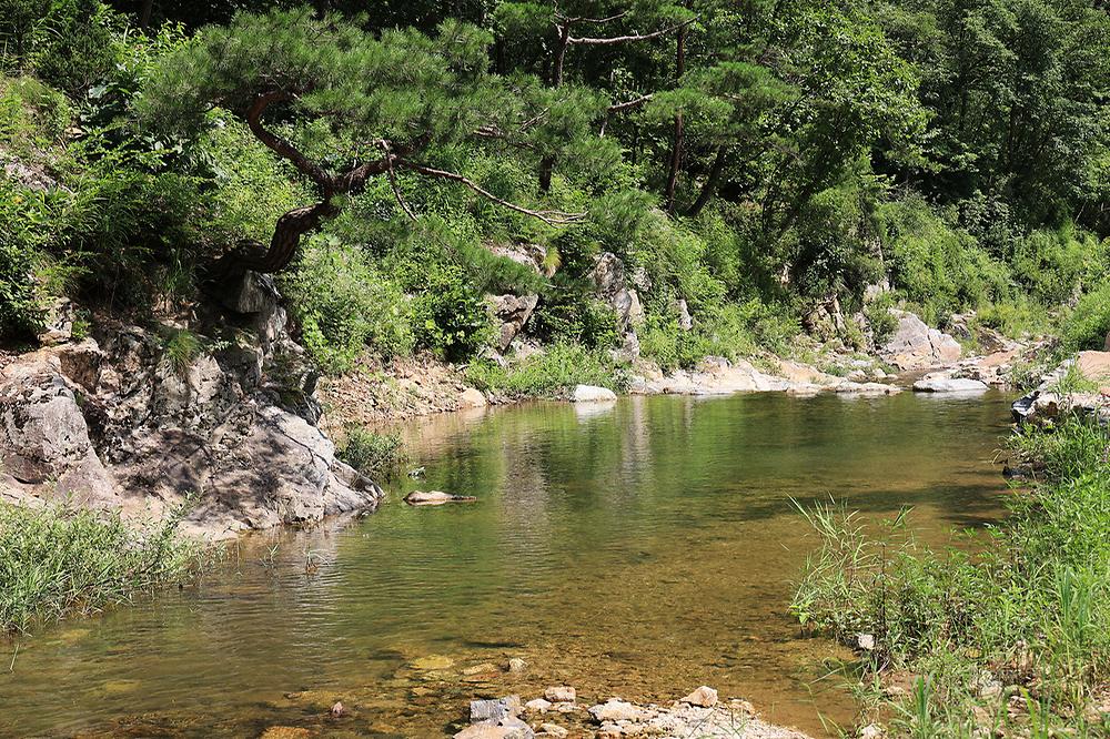 반려견과 함께, 그자리 야영장 소개
