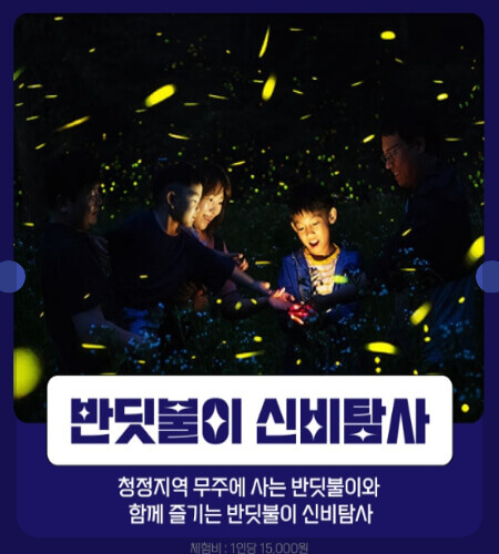 무주반딧불축제 예약_2
