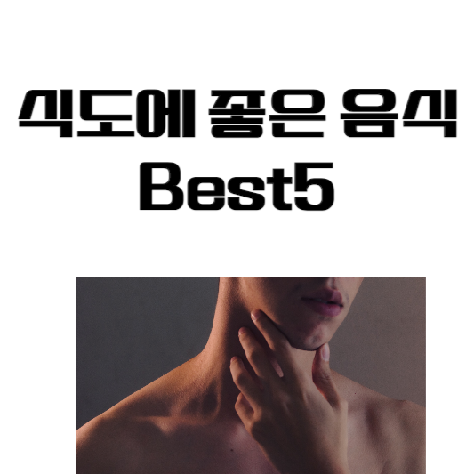 식도에 좋은 음식 Best5, 식도 건강 음식