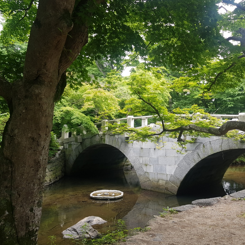 선운산선운사계곡