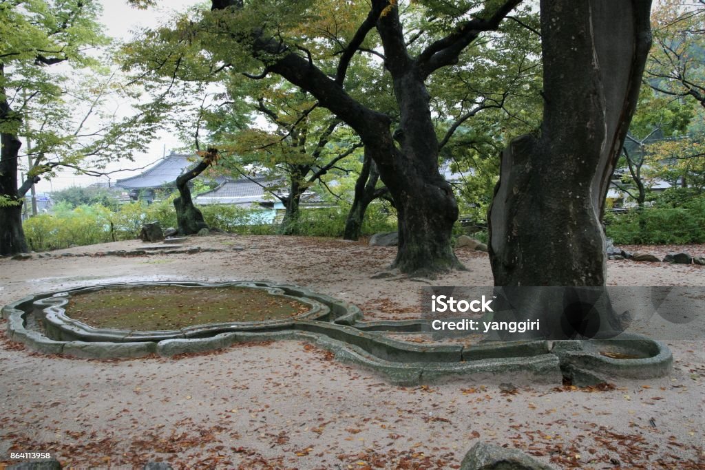 신라 왕 33대 성덕왕 35대 경덕왕 36대 해공왕 55대 경애왕 56대 경순왕