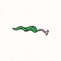 2001년생 뱀띠 운세