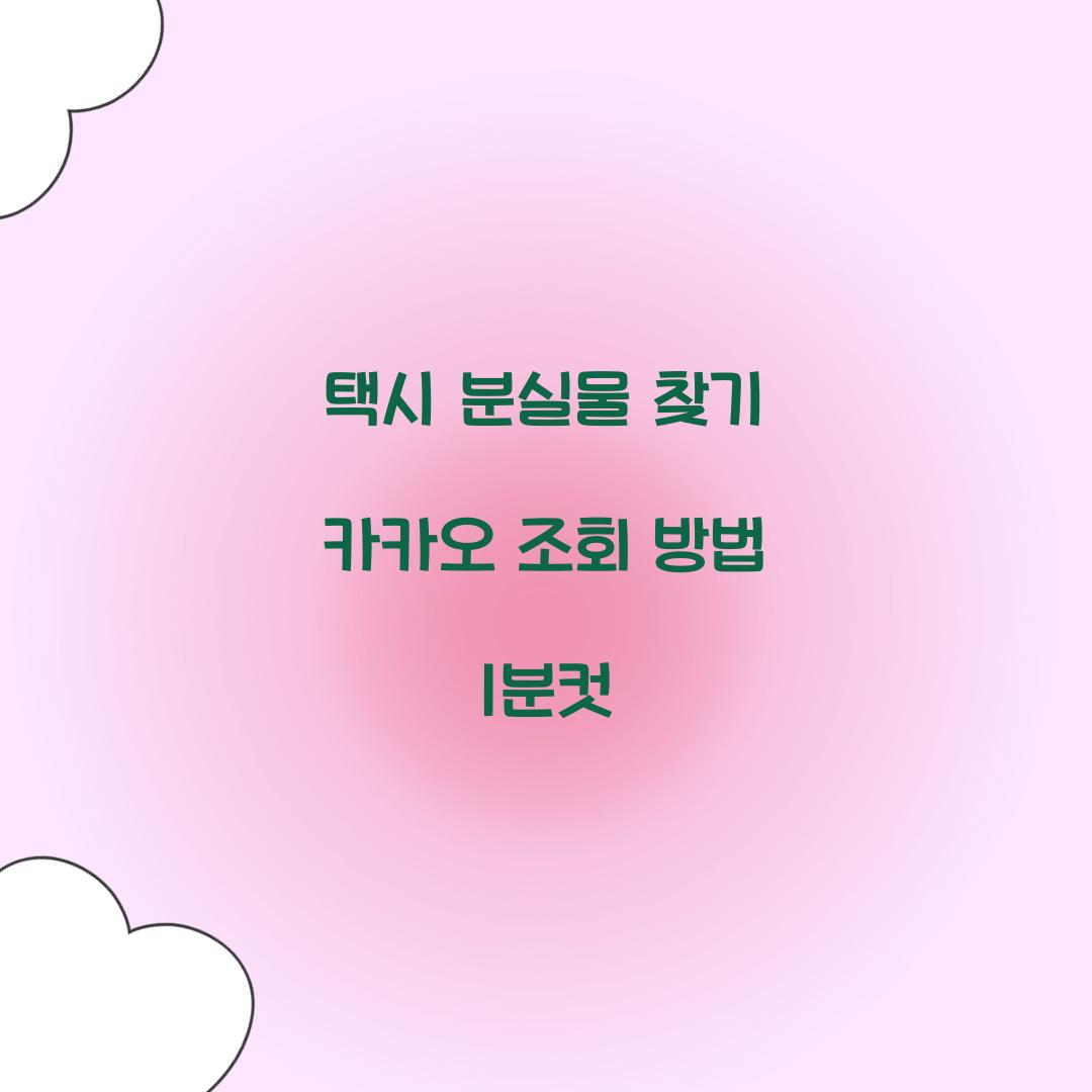 택시 분실물 찾기