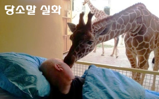 당소말 실화