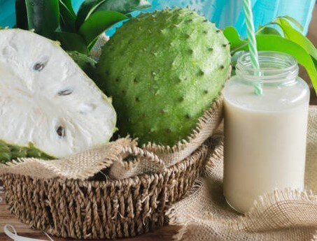 그라비올라 열매4