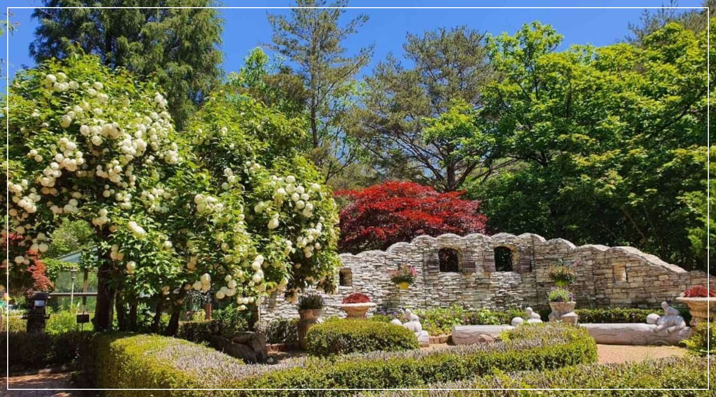 평창 가볼만한곳 베스트10 허브나라농원