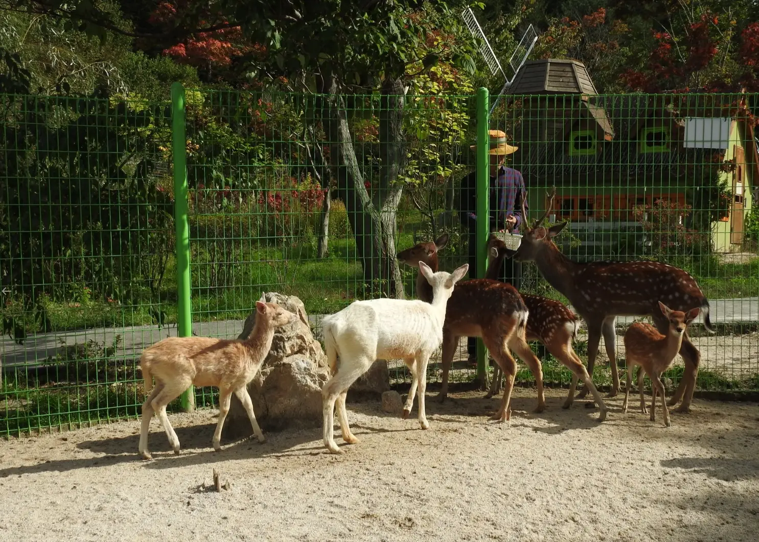 아침고요수목원-입장료-운영시간-관람안내