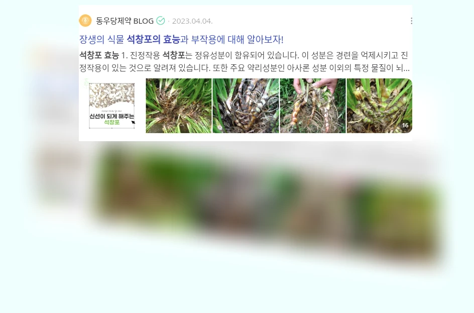 석창포의 효능_2_subsection